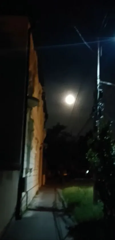 Night scene with moon and streetlights casting shadows on the path.