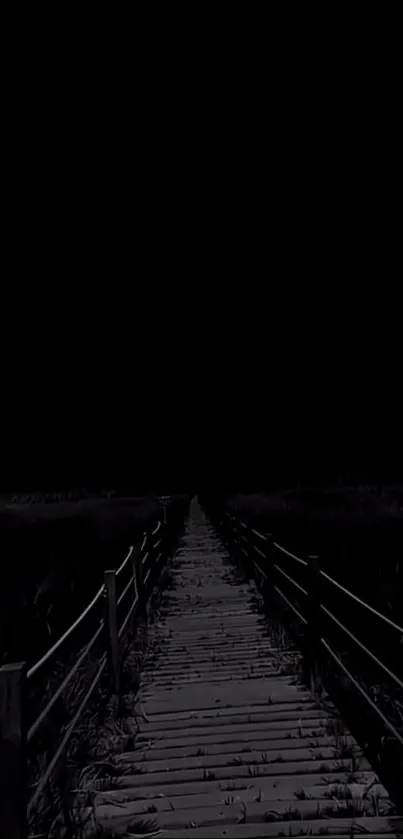 Mystical dark walkway at night in black tones.