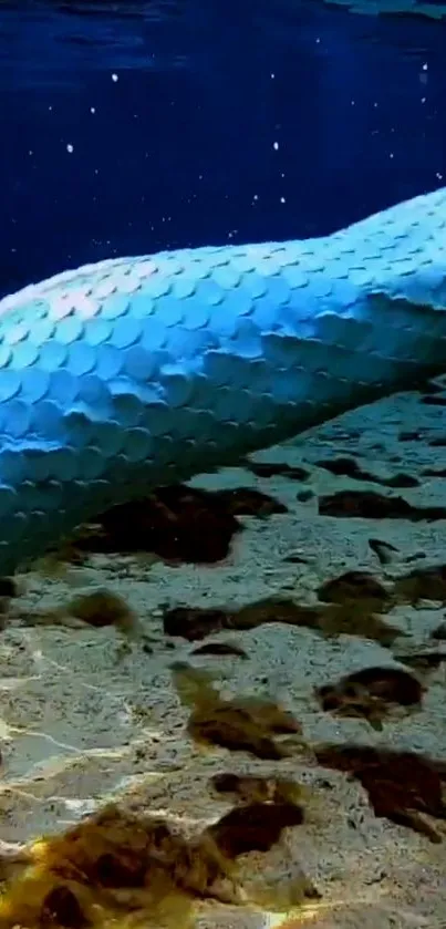 Intricate mermaid tail with blue scales under the ocean.