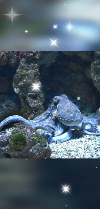 Mystical octopus in a serene underwater scene with stars.