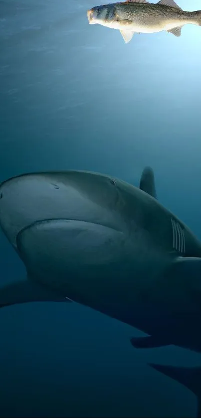 Underwater view of a shark and fish swimming peacefully in the ocean.