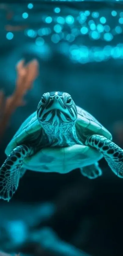 Enigmatic ocean turtle in gentle aquatic surroundings