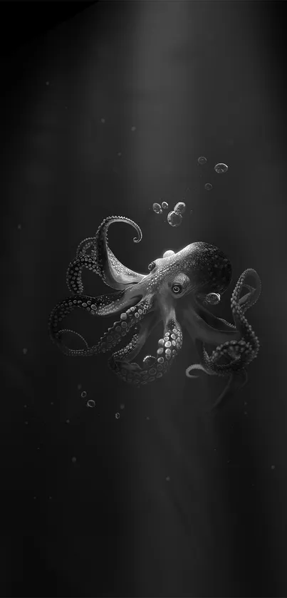 Monochrome wallpaper featuring an octopus in deep ocean waters.