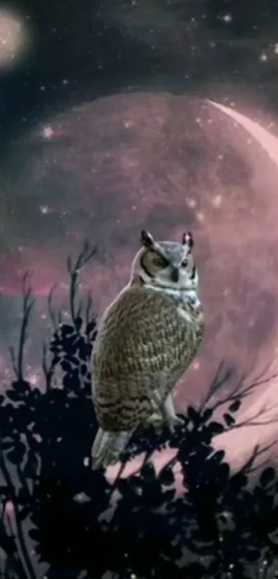 Mystical owl perched under crescent moon.