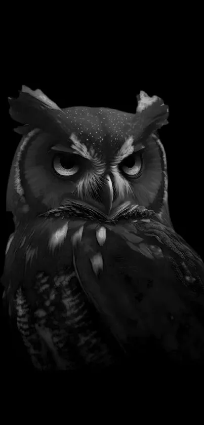 Dark, detailed owl on black background wallpaper.