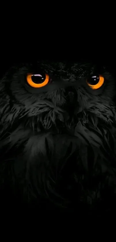 Black owl with orange eyes in dark wallpaper.