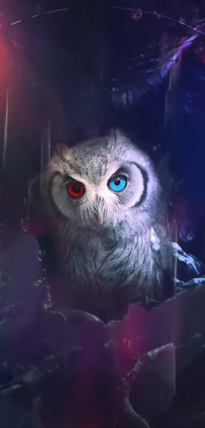 Mystical owl with dual-colored eyes in dark fantasy setting.