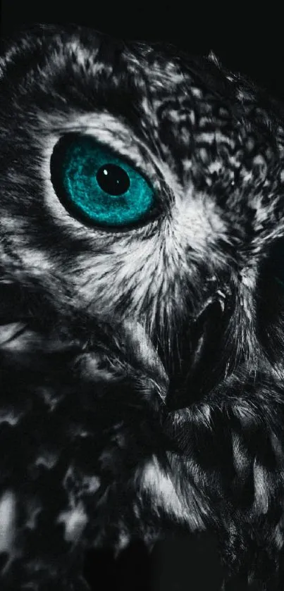 Owl with captivating blue eyes in a dark, artistic mobile wallpaper.