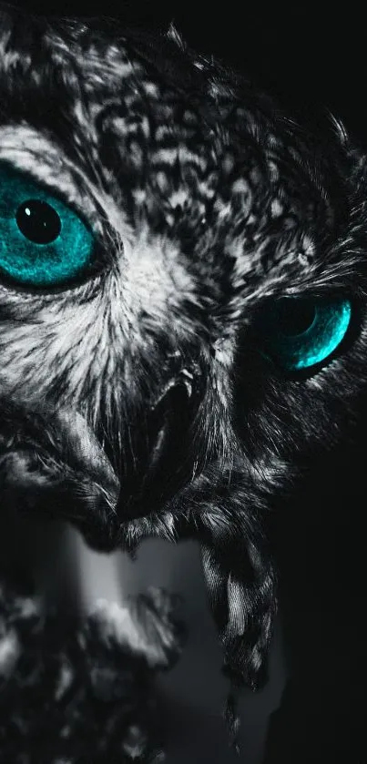 Mystical owl wallpaper with turquoise eyes in dark ambiance.