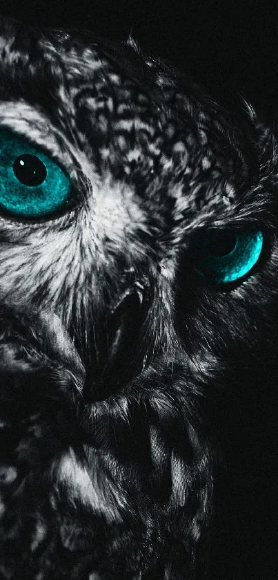 Black and white owl with striking cyan eyes in a mystical wallpaper.