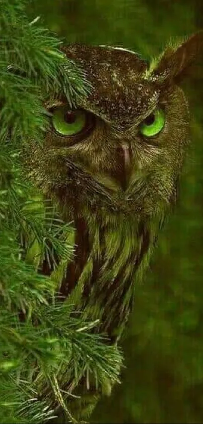 A hidden owl with green eyes peeking through lush greenery in a mystical forest setting.