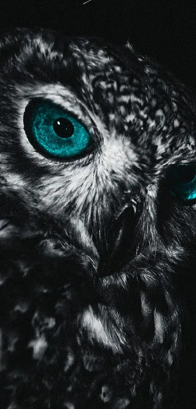 Close-up of an owl with teal eyes against a black background.