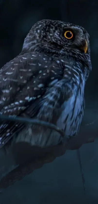 Owl perched in a mystical dark forest, captivating and elegant.