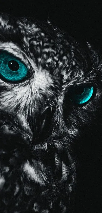 Mystical owl with vivid turquoise eyes in darkness.