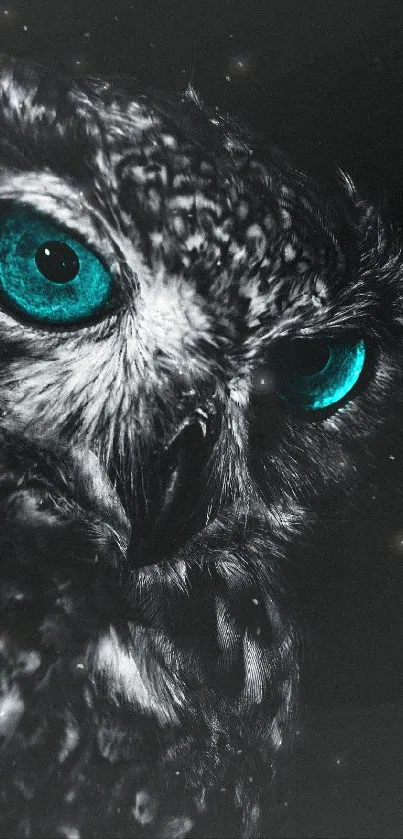 Dark owl with turquoise eyes on a black background.