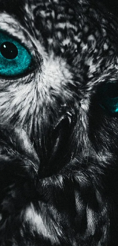 Mystical owl with vibrant blue eyes against a dark background.