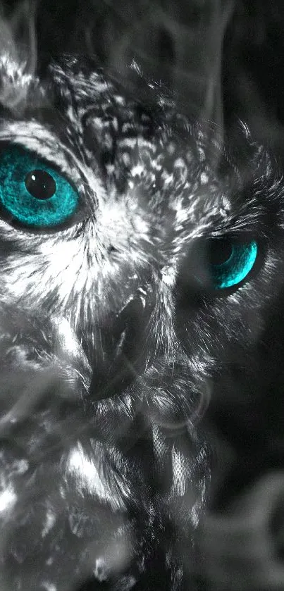 Close-up of owl with striking teal eyes on dark background.