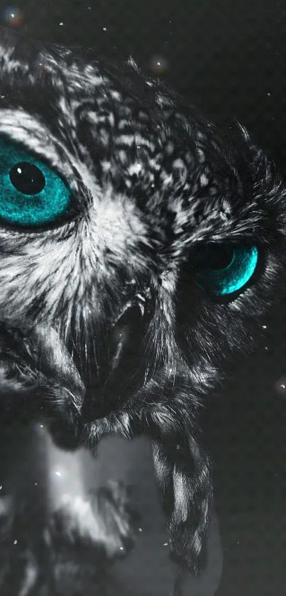 Striking owl mobile wallpaper with vivid turquoise eyes on a dark background.