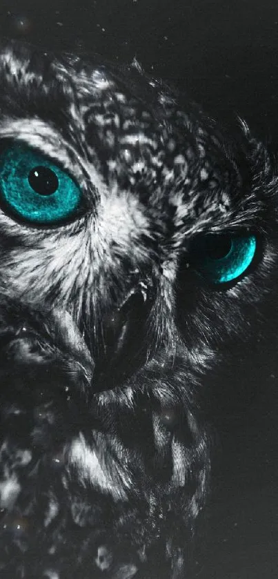 Mystical owl with teal eyes on a dark background.