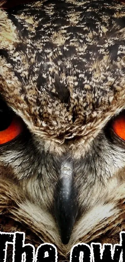 Close-up of mystical owl with vibrant orange eyes on phone wallpaper.