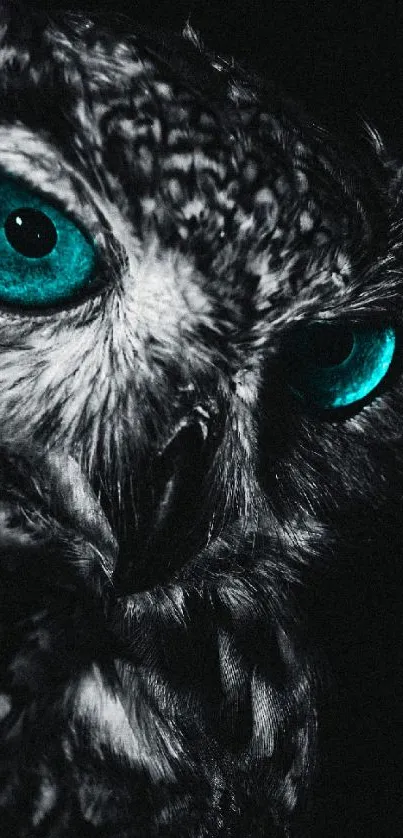 Owl with vivid blue eyes on a dark background, perfect for a phone wallpaper.