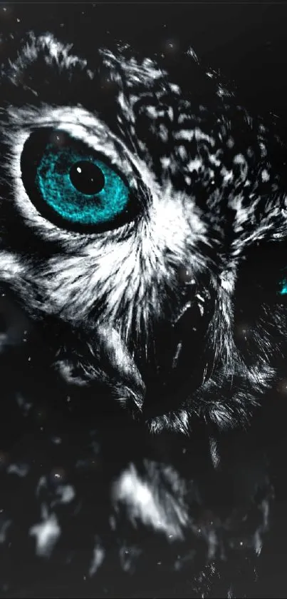 Mystical owl with turquoise eyes on a dark background.