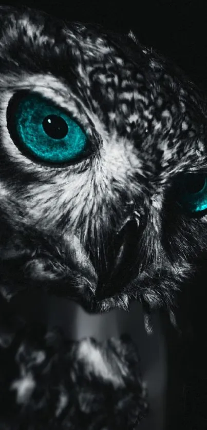 Mystical owl with striking teal eyes on a dark background.