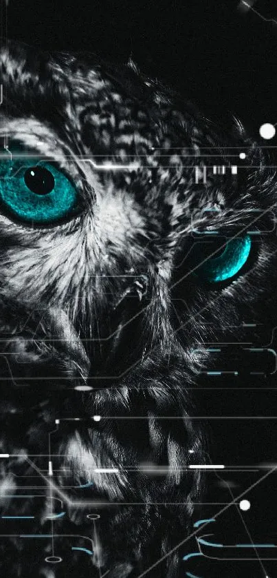 Mystical owl with turquoise eyes on a dark background wallpaper.