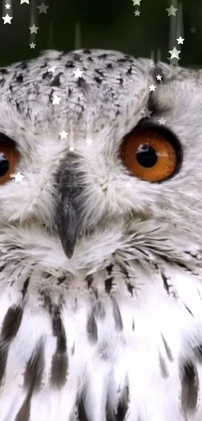 Captivating owl with orange eyes amidst shimmering stars.