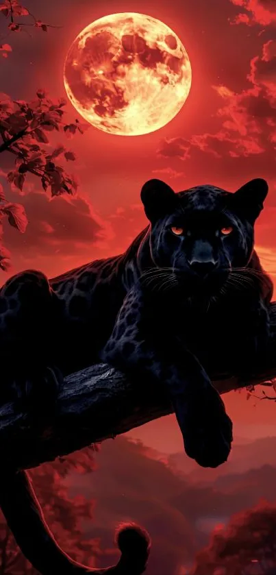 Black panther resting on a tree branch under a red moon.