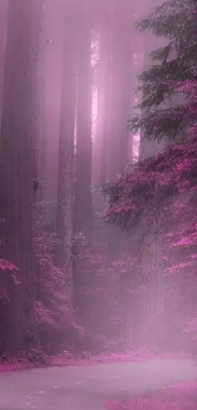 Winding road through a pink forest pathway with mist.