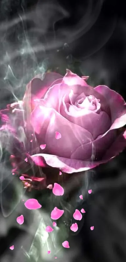 A mystical pink rose with smoke on a dark background.