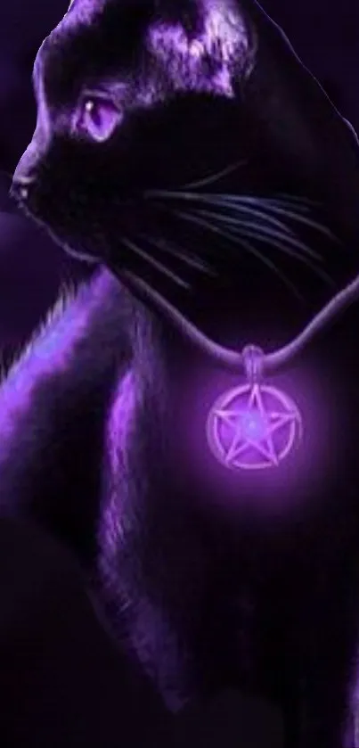 Black cat with a glowing purple aura and pentacle pendant on dark background.