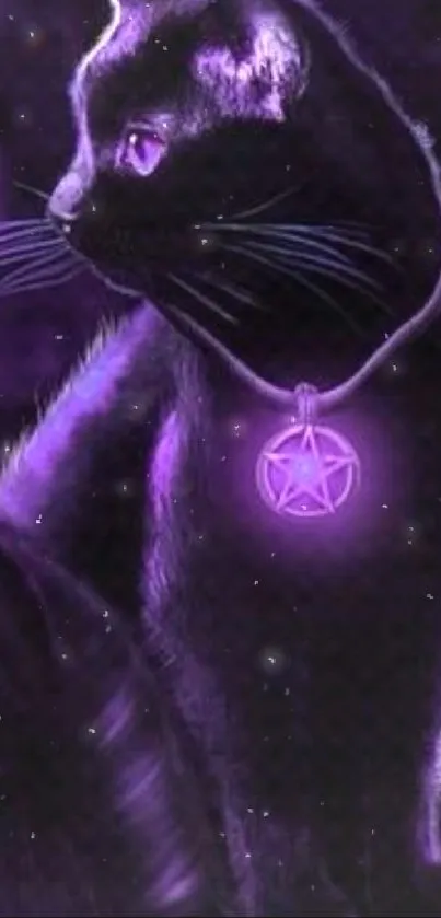 Mystical purple cat with pendant glowing elegantly in the dark.