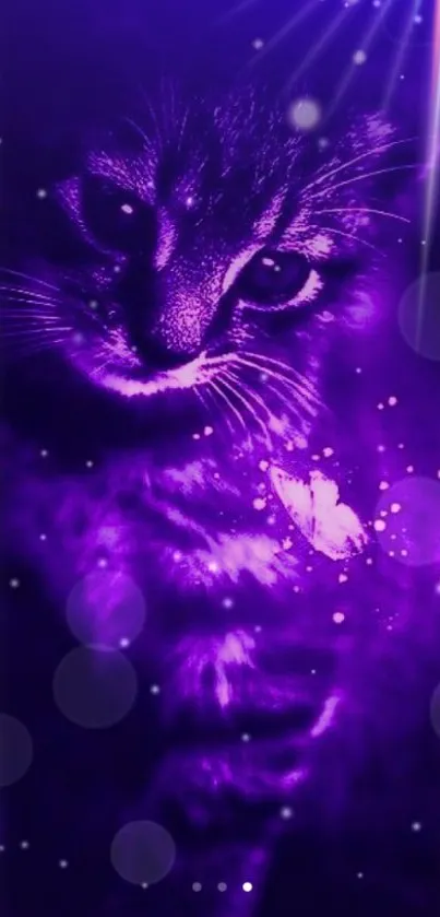 Mystical purple cat with glowing effects and butterflies on a dark background.