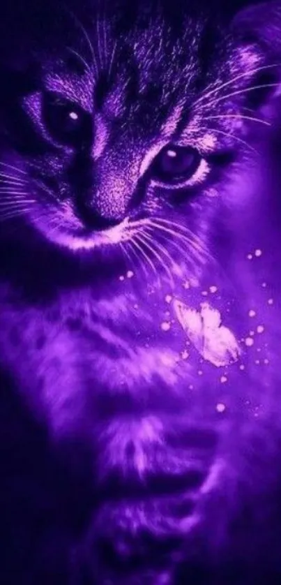 Mystical purple cat with butterfly wallpaper.