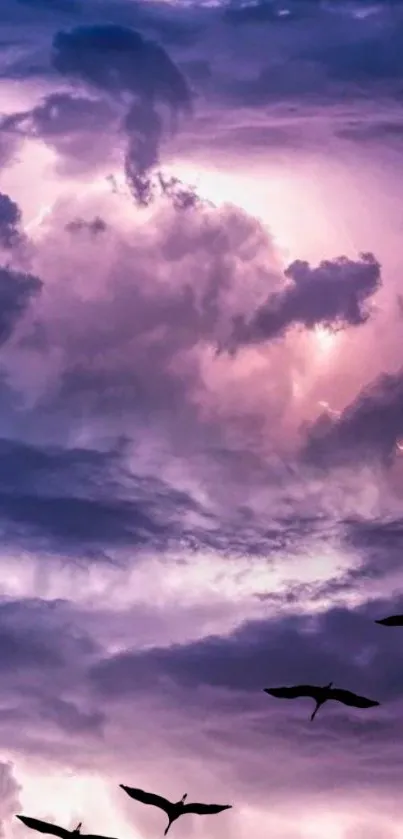 Purple sky with clouds and birds in stunning mobile wallpaper.