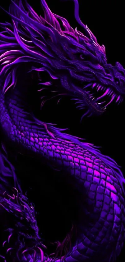 Mystical purple dragon illustration on a dark background.