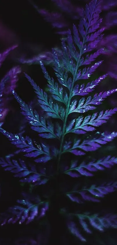 Mystical purple fern with vibrant colors for a nature-inspired wallpaper.