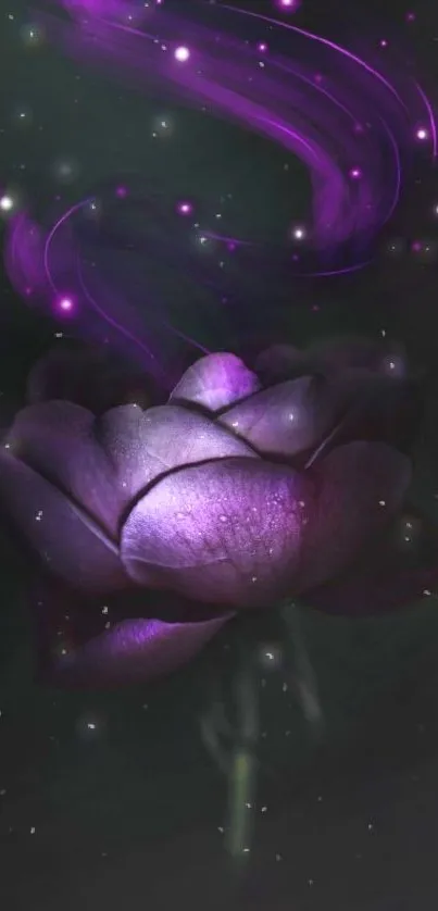 Mystical purple flower with glowing swirls on dark background.