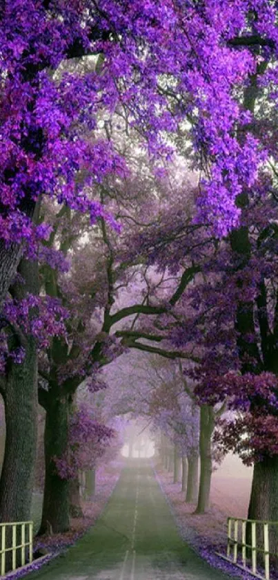 Path through a mystical forest with vibrant purple trees.