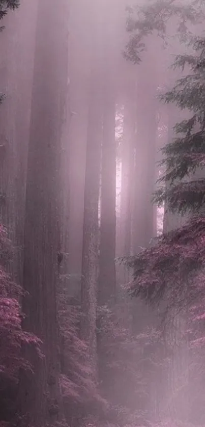 A misty pink forest path with tall trees and soft fog.