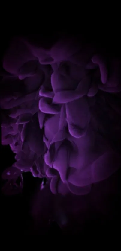 Dark, mystical purple ink swirling in an abstract design for mobile wallpaper.