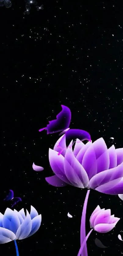 Purple lotus flowers with butterflies on dark starry background.