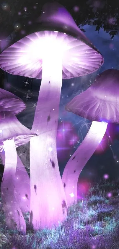 Glowing purple mushrooms in a mystical forest scene.