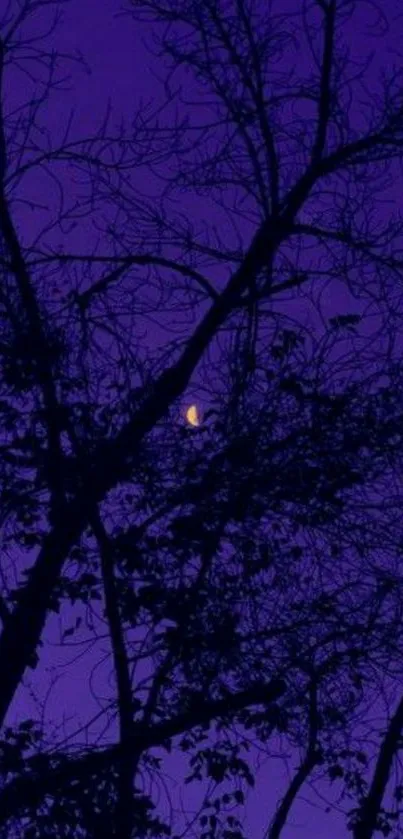 Silhouetted trees against a purple night sky with visible moon.