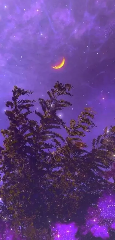 Mystical purple sky with crescent moon and silhouetted trees.