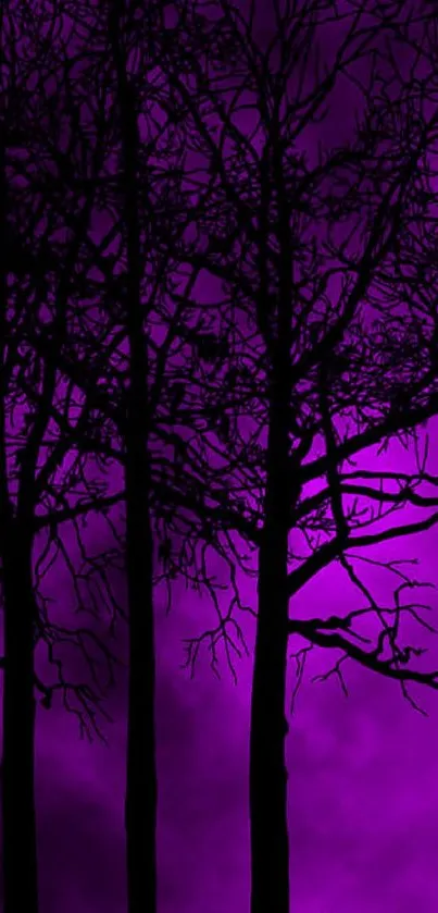 Silhouetted trees against a mystical purple night sky.