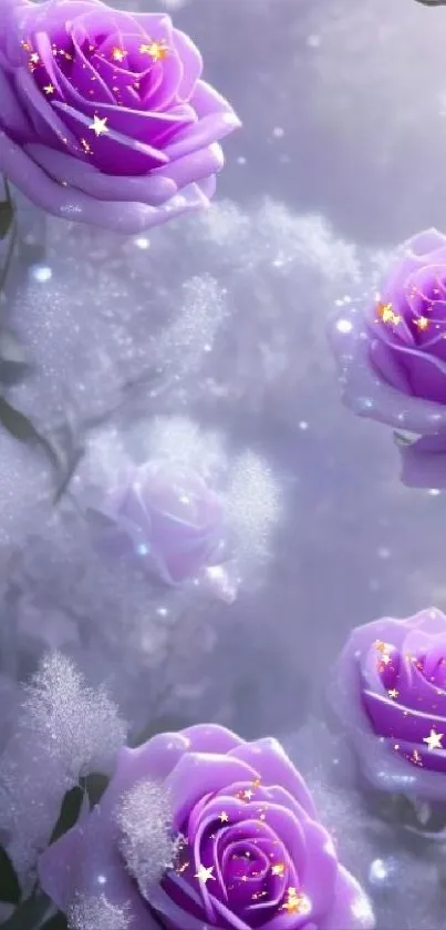 Purple roses with golden sparkles on an ethereal lavender background.
