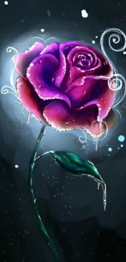 Glowing purple rose on dark background.